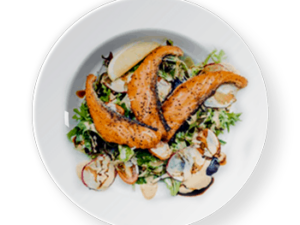 Grilled Salmon Fillet with Salad​